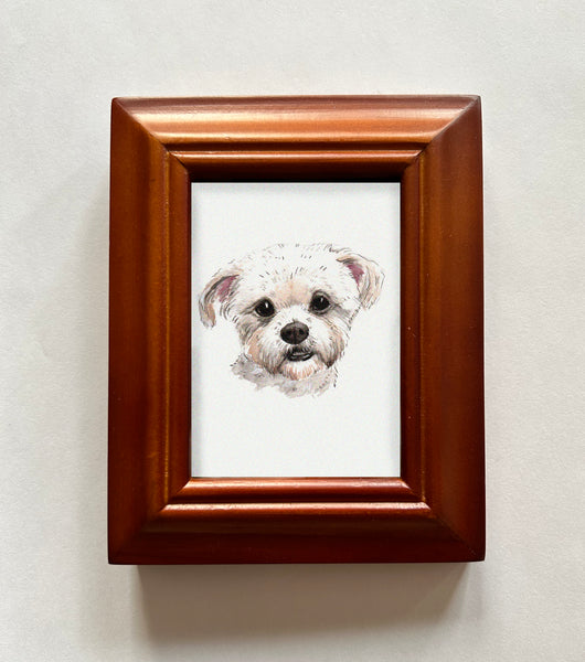 Petite Pet Portraits
