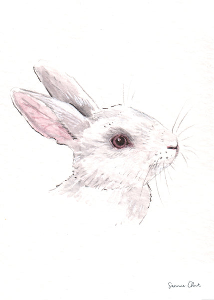 Petite Pet Portraits