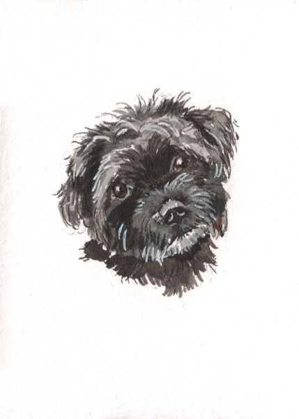 Petite Pet Portraits