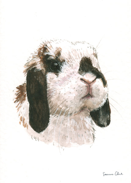 Petite Pet Portraits