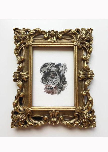 Petite Pet Portraits