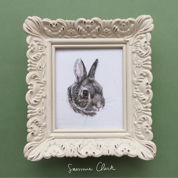 Petite Pet Portraits