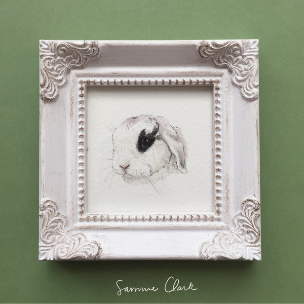 Petite Pet Portraits