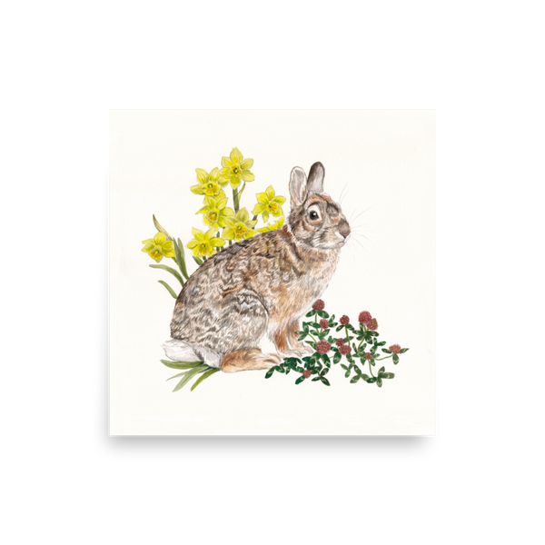 Cottontail & Flowers ~ Limited Edition Print