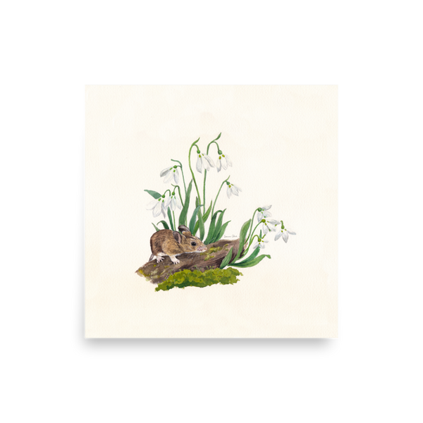 Mouse & Snowdrops ~ Limited Edition Print