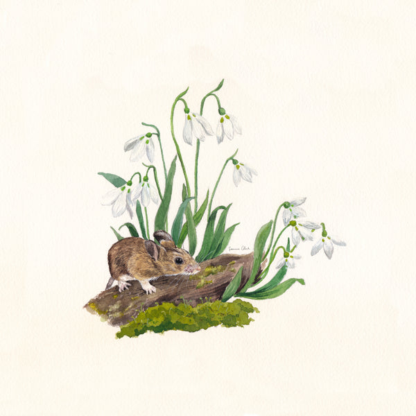 Mouse and Snowdrops ~ Original Watercolor