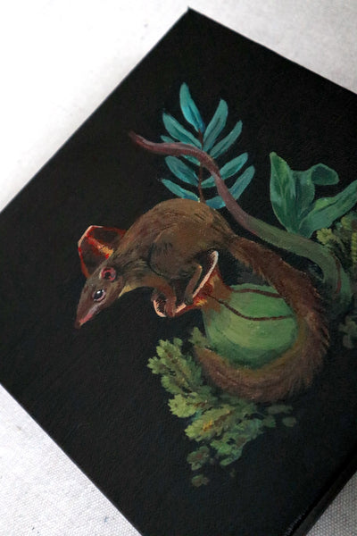 Tree Shrew & Pitcher Plant ~ Acrylic on Canvas