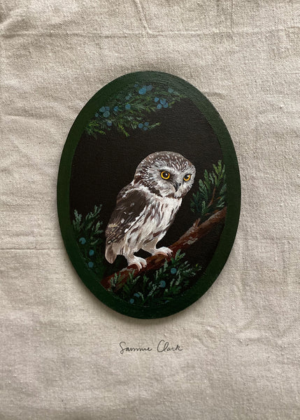 Northern Saw-Whet Owl- Canvas painting