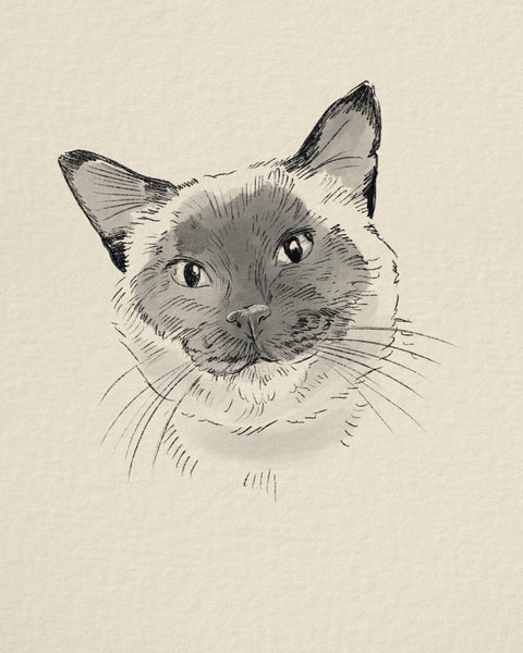 Digital Sketch Pet Portrait