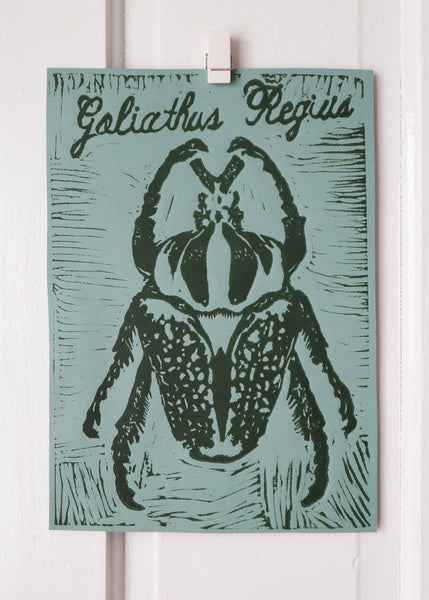 Beetle Linocut- Goliathus regius