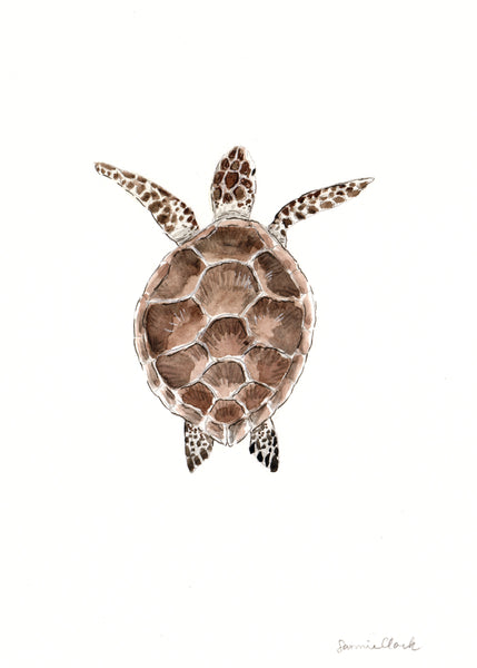 Loggerhead Sea Turtle ~ Watercolor painting 5x7"