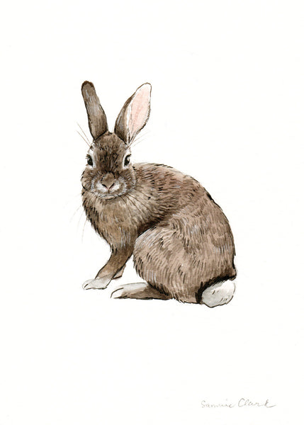 Cottontail Rabbit ~ Original Watercolor Painting