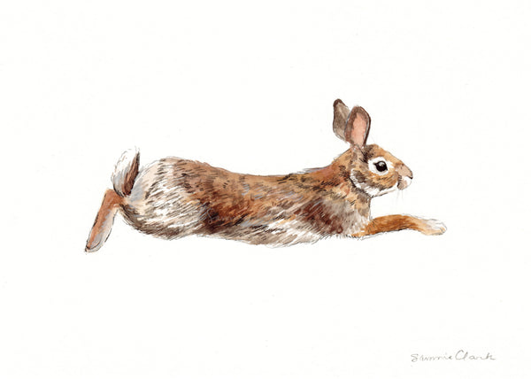 Leaping Rabbit ~ Watercolor Painting