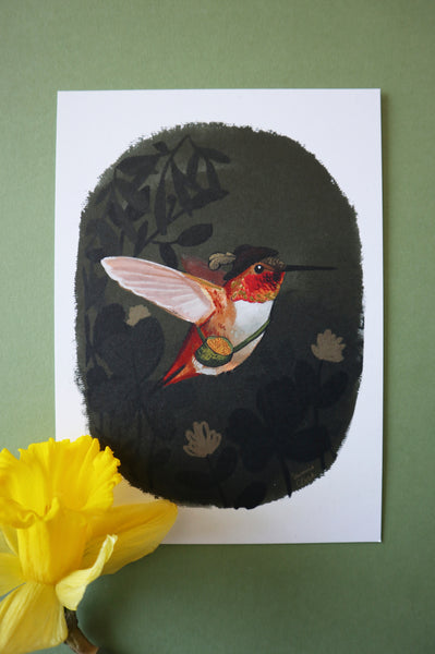 Rufous Hummingbird Limited Edition Print for Conservation