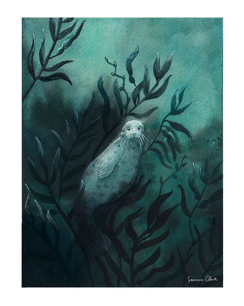 Seal in Kelp Forest